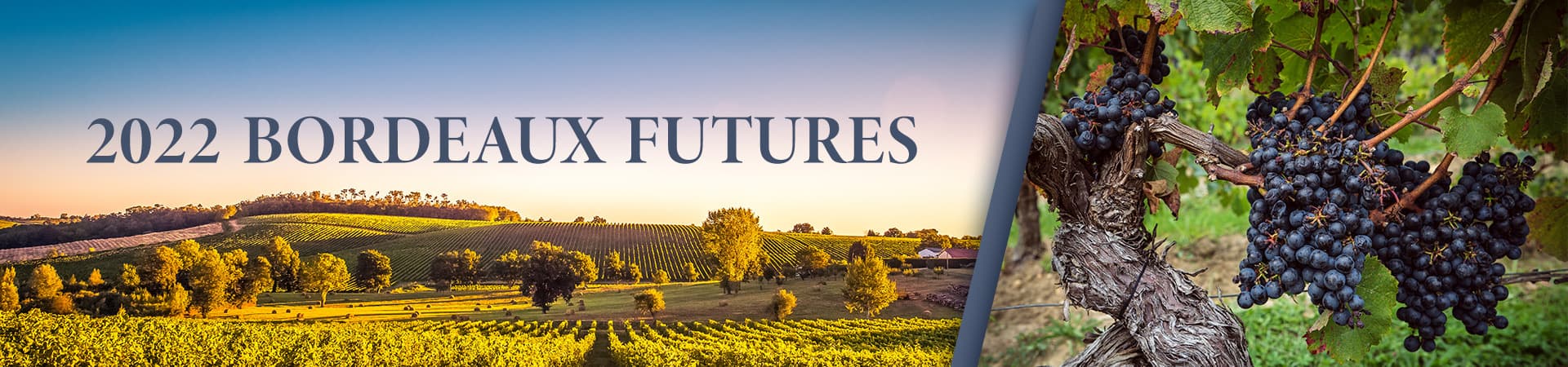 2022 Bordeaux Futures