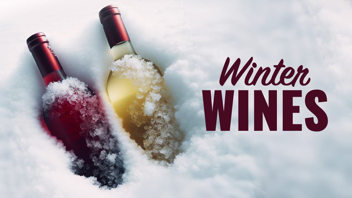 Featured image for Winter Wines: The Best Red and White Wines to Enjoy During Winter