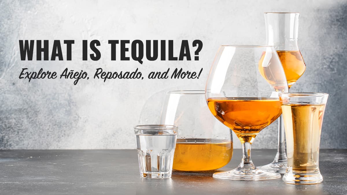 Featured image for What is Tequila?  Explore Anejo, Reposado, and More