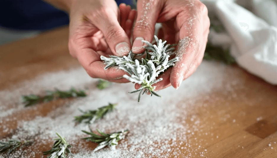 Image for Holiday Cocktail Garnishes: Festive Ways to Elevate Your Seasonal Drinks