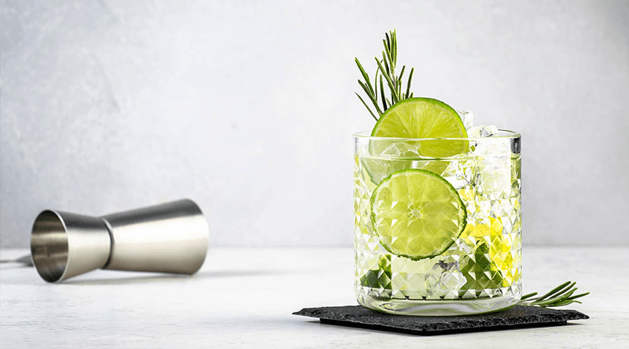 Image for The Gin &amp; Tonic: How to Serve and Make The Timeless Classic