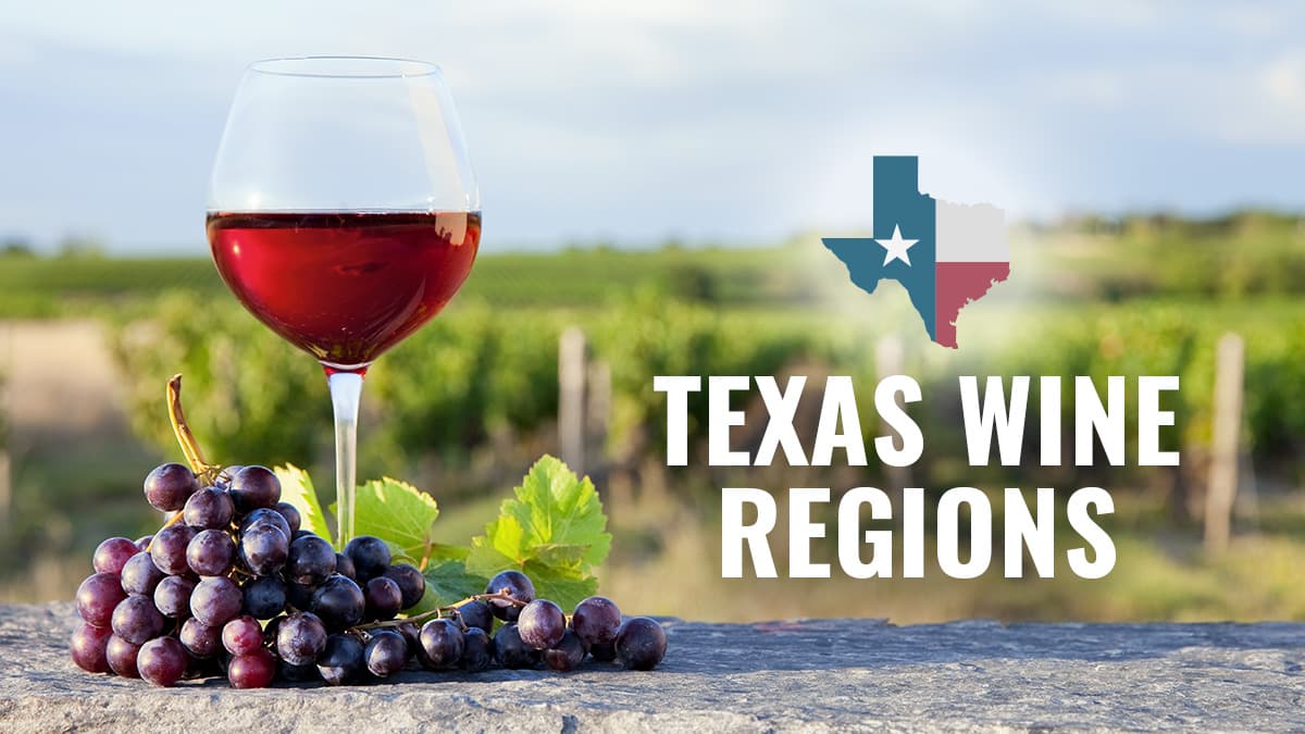 Featured image for Texas Wine Regions