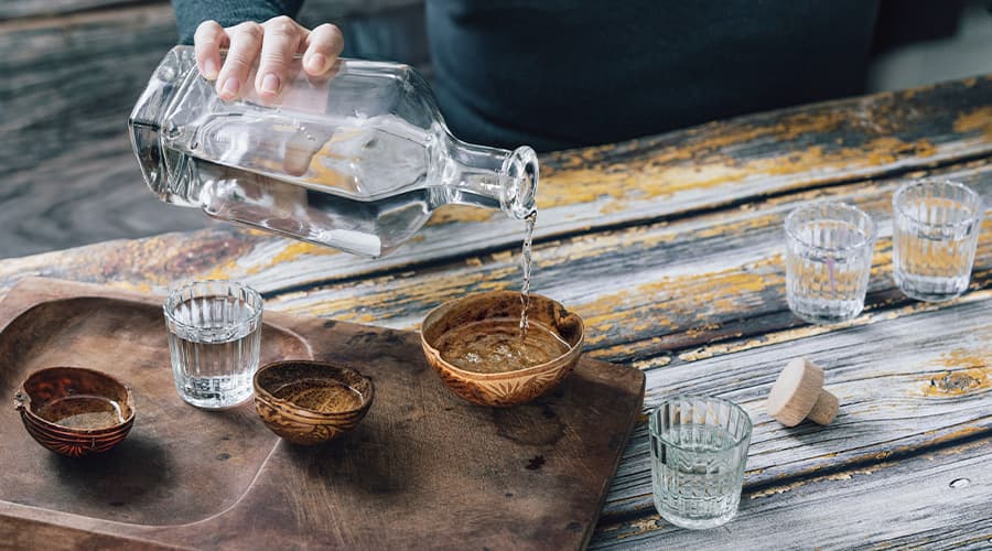 Image for Tequila vs Mezcal vs Sotol: Key Differences Between Mexico’s Signature Spirits