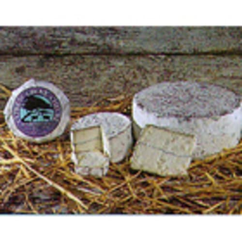 Cypress Grove Humboldt Fog Mini Wheel