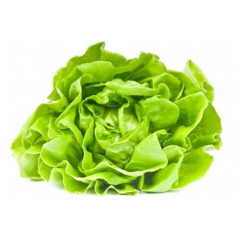 Produce • Lettuce Greenleaf