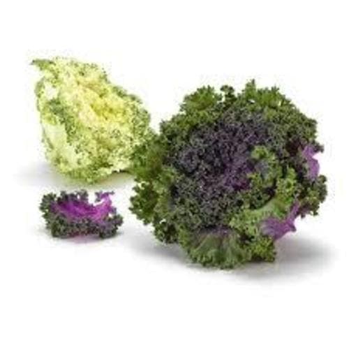Produce • Oriental Kale