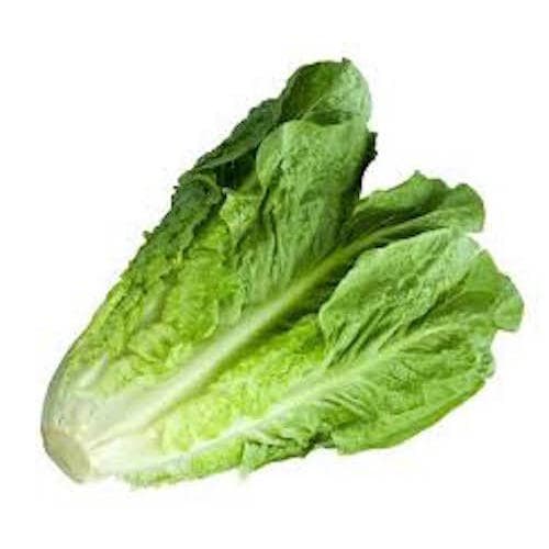 Produce • Lettuce Romaine