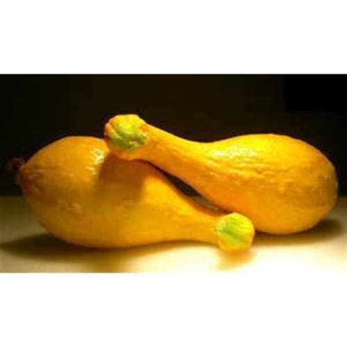Produce • Yellow Squash