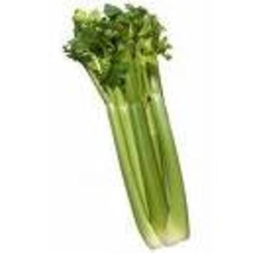 Produce • Celery