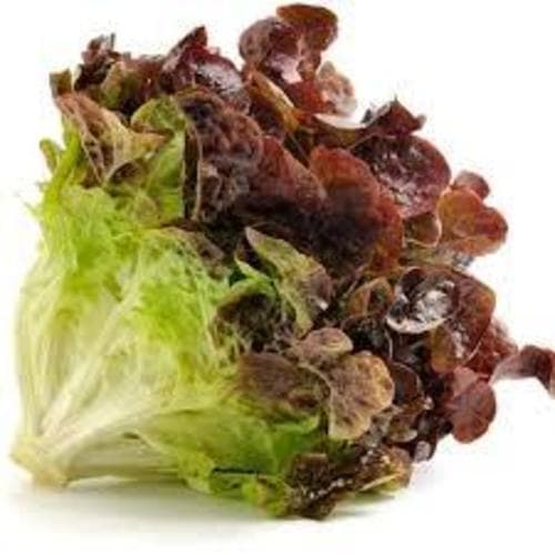 Produce • Lettuce Red Leaf