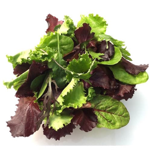 Produce • Lettuce Spring Mix