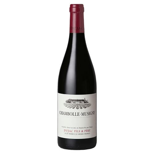 Dujac Fils Et Pere Chambolle Musigny (6 / Case)