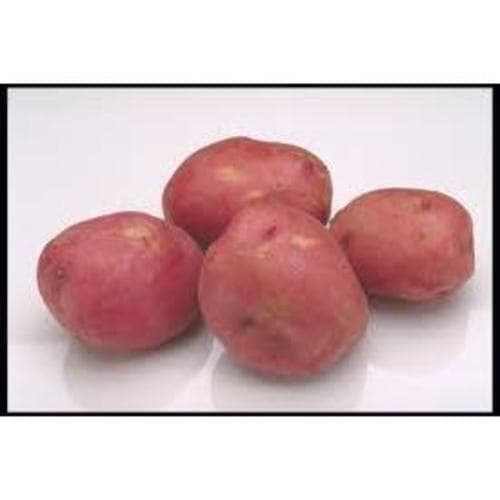 Produce • Potatoes Red 5 Lb