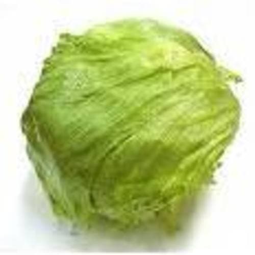 Produce • Iceberg Lettuce