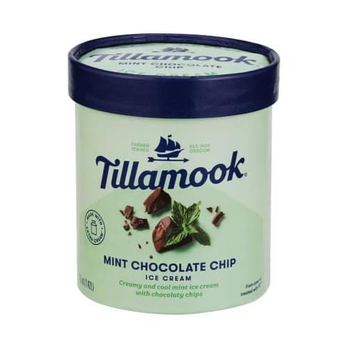 Tillamook Ice Cream • Mint Chocolate Chip