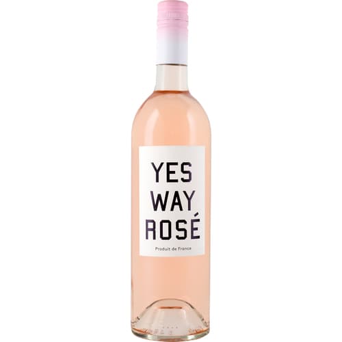 Yes Way Rose Provence Rose