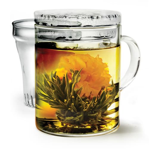 Primula • Personal Tea Brewer Glass W.infuser  Lid