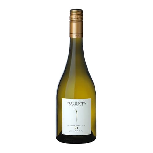 Pulenta Estate Vi Sauvignon Blanc