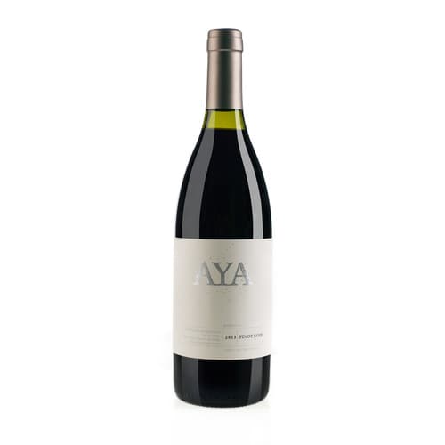Bodegas Borbore Aya Pinot Noir