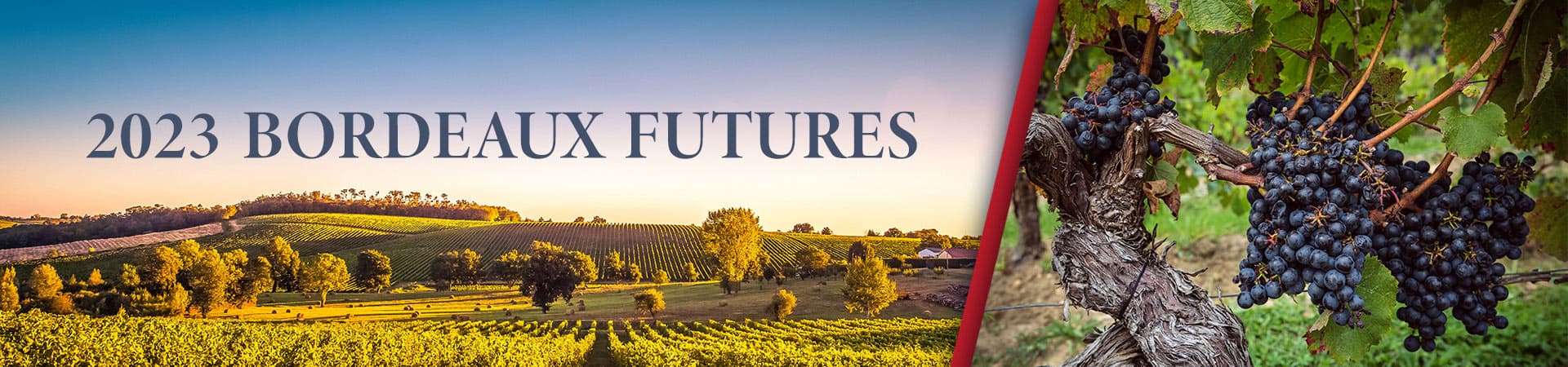 2023 Bordeaux Futures