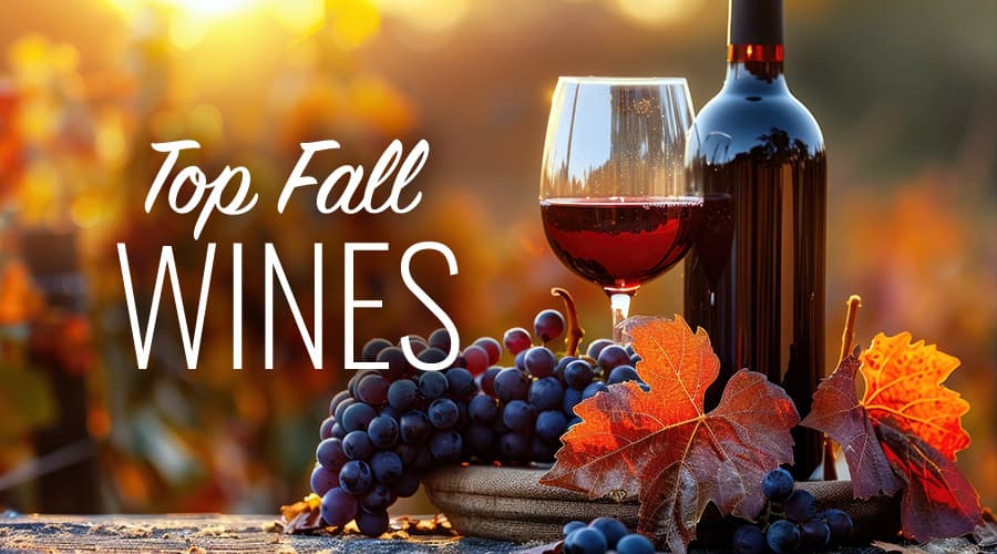 Featured image for Top Fall Wines