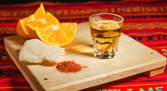 Image for Exploring The 6 Best Mezcals
