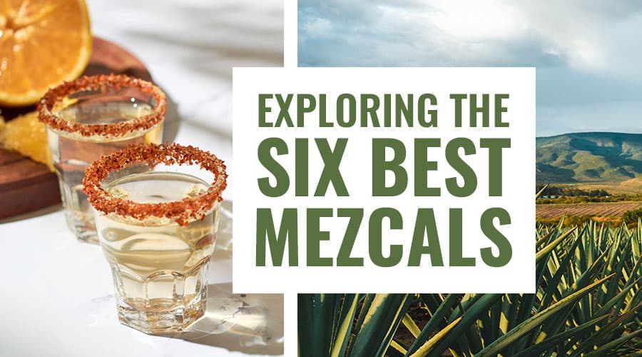 Featured image for Exploring The 6 Best Mezcals