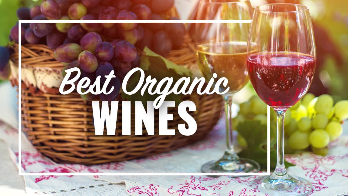 Featured image for Best Organic Wines