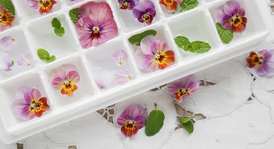 Image for The Ultimate Cocktail Garnish Guide