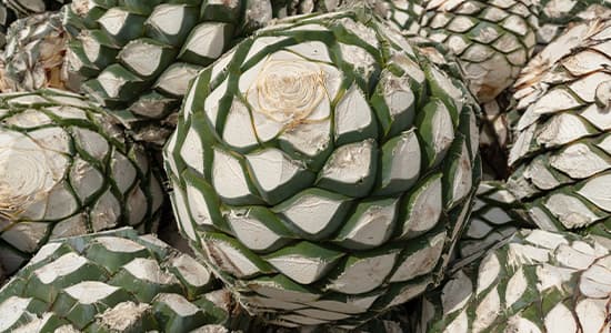 Image for Guide To Additive-Free Tequila