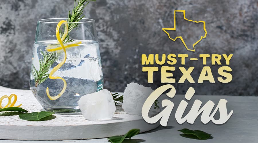 Featured image for Top Texas Gins