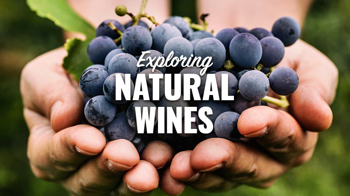 Featured image for Exploring Natural Wines - The Rise of Organic & Biodynamic Wine