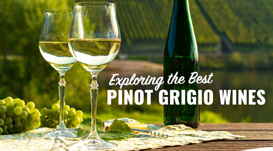 Featured image for The 6 Best Pinot Grigio Wines