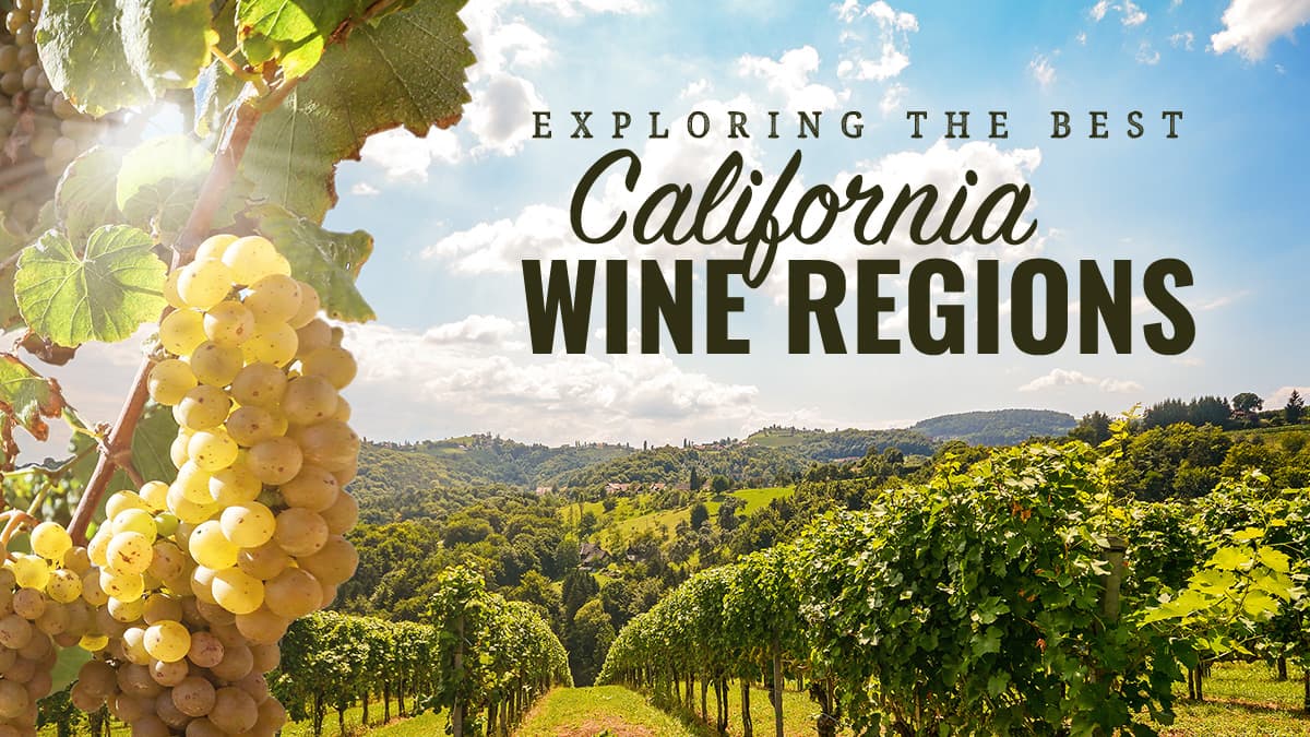 Featured image for Exploring The Best California Wine Regions