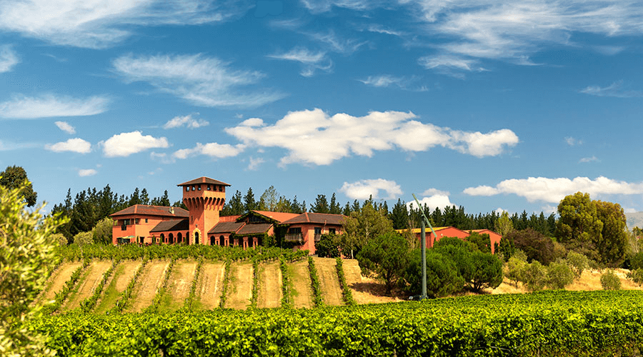 Image for New Zealand Sauvignon Blanc