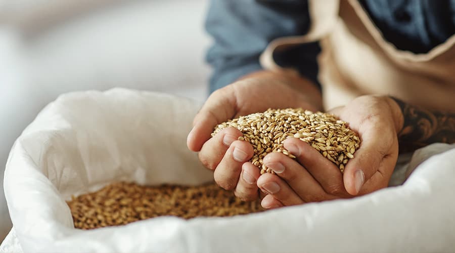 Image for Sustainable Texas Distilleries: Eco-Friendly Spirits from the Lone Star State