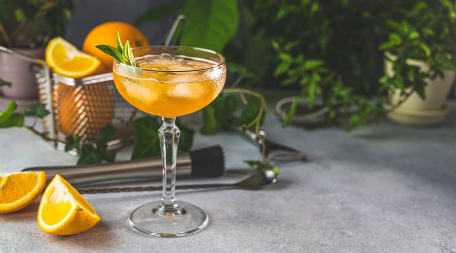 Image for The “Tiny Pour” Trend: How Gen Z Is Redefining Drinking in 2026
