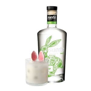Featured image for Bunny 64