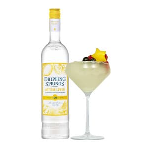 Featured image for Frozen Lemon Drop