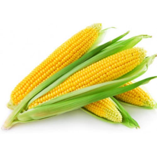 Produce • Corn Yellow