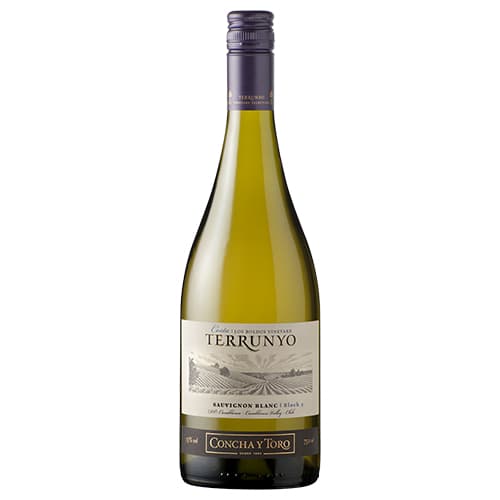 Concha Y Toro Terrunyo Sauvignon Blanc 6 / Case