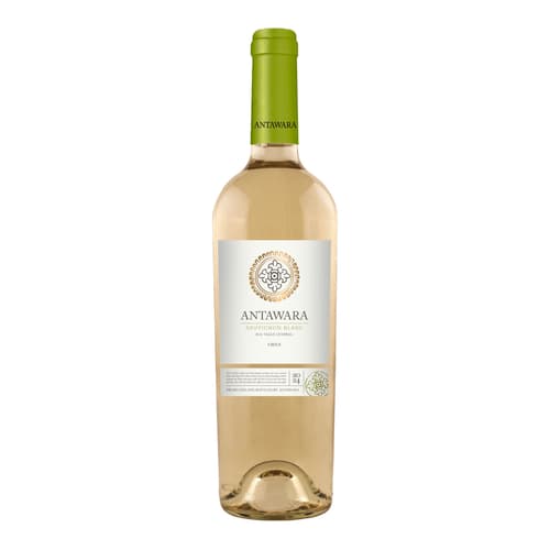 Antawara Rose Chile