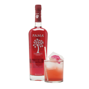 Pomegranate Gin Fizz