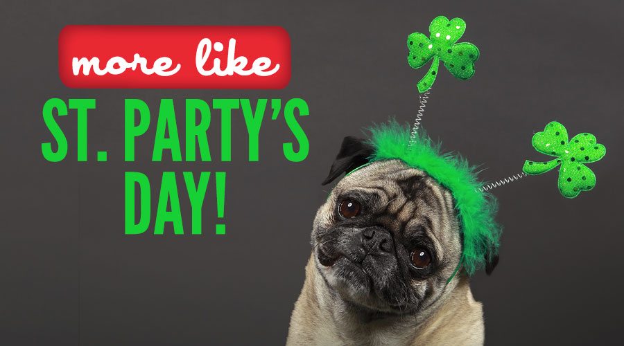 Ideas To Get Your Irish On!