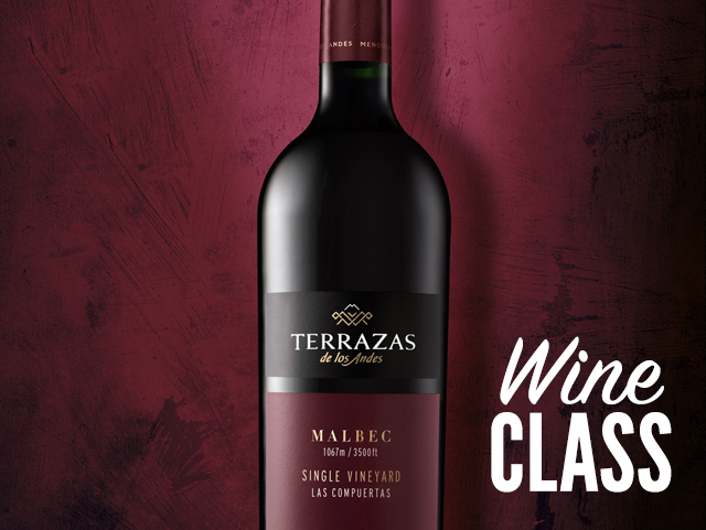 Terrazas Wine Class With The Winemaker Spec S Wines