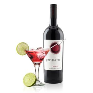 Raspberry Spritzer