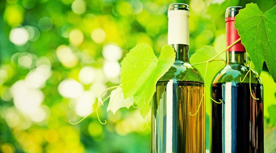 10 Wines Under $15!